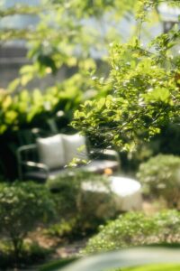 Tips for Creating a Relaxing Outdoor Space in Your Backyard